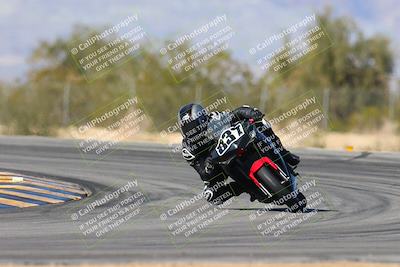 media/Feb-03-2024-SoCal Trackdays (Sat) [[767c60a41c]]/8-Turn 7 (1140am)/